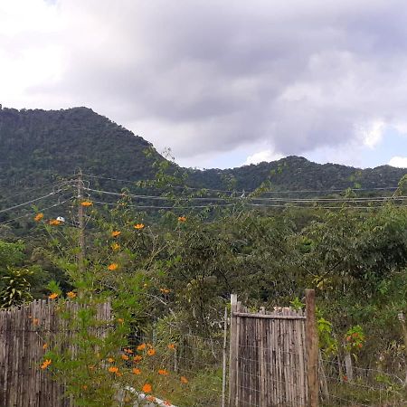 Vila Casa Venus Sao Pedro da Serra  Exteriér fotografie
